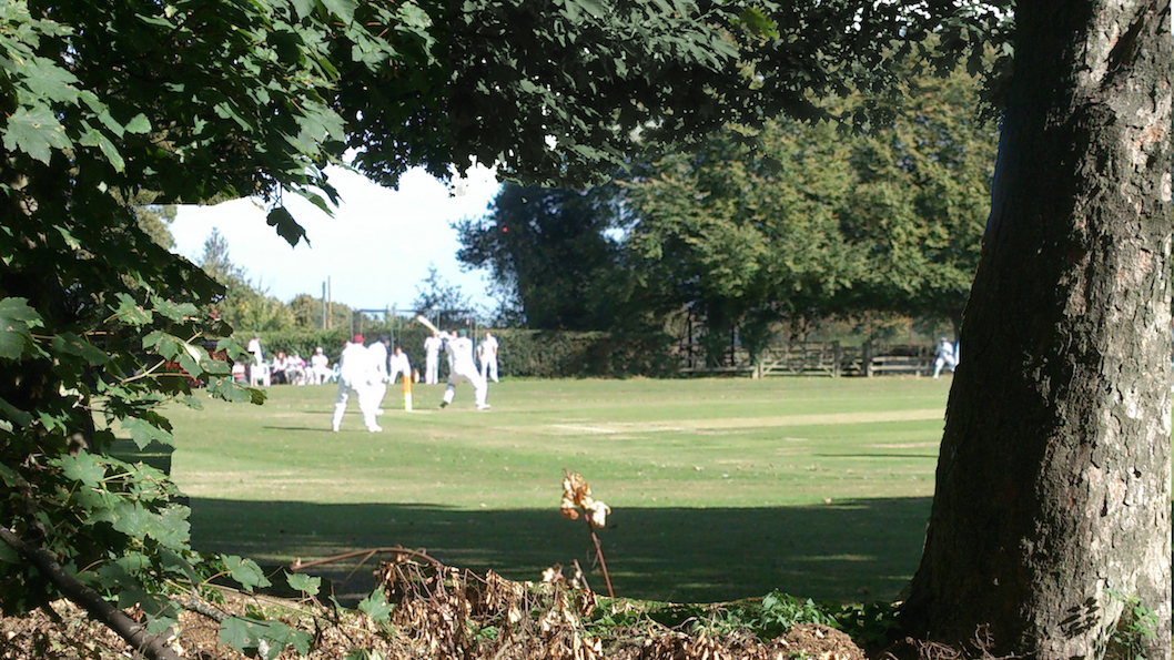 cricket at Manor Field